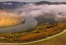 Quinta das Carvalhas recebe prémio internacional ao ser distinguida Produtor do Ano 2026 pela FIJEV Quinta das Carvalhas prémio