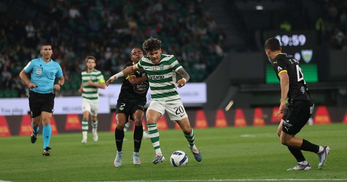 Sporting Tondela Sporting Tondela