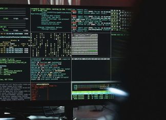 É possível comprar uma identidade portuguesa por 90 dólares: dados pessoais roubados expostos na dark web dados pessoais roubados