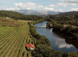 Campanha de turismo interno convida portugueses a redescobrir o país Campanha de turismo interno