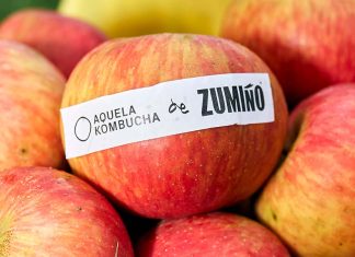 Kombucha Maçã: Edição especial nasce nos pomares galegos e fermenta em Portugal Kombucha Maçã