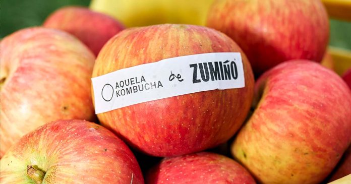 Kombucha Maçã