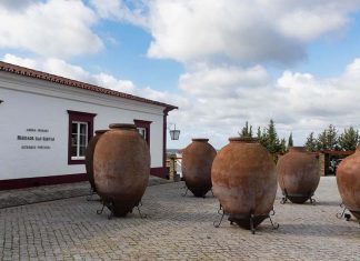 Regenerative Wine Fest 2026 mostra como a agricultura regenerativa pode proteger o vinho português Regenerative Wine Fest