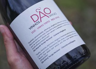 Dão Summer Edition arranca em Viseu com mais de 200 vinhos e atividades para toda a família Dão Summer Edition