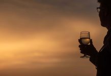 Primeiro Wine Sunset da Adega de Palmela nasce entre sobreiros, copos erguidos e grandes clássicos Primeiro Wine Sunset