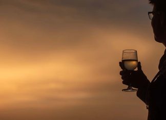 Primeiro Wine Sunset da Adega de Palmela nasce entre sobreiros, copos erguidos e grandes clássicos Primeiro Wine Sunset