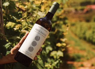 Três Bagos Sauvignon Blanc 2025: a nova colheita de um clássico da Lavradores de Feitoria Três Bagos Sauvignon Blanc