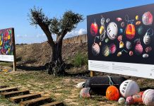 Lixo nas praias da Costa Alentejana ganha nova vida em obras de arte Lixo nas praias da Costa Alentejana transformado em obras de arte expostas na mostra Waste 2 Arte