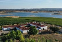 Visitar o Alentejo, ganha nova proposta com parceria entre Esporão e Montimerso Vista aérea de vinhas e do Lago Alqueva, ilustrando a paisagem ideal para quem procura visitar o Alentejo.
