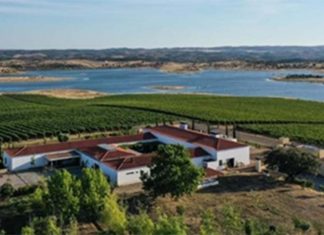 Visitar o Alentejo, ganha nova proposta com parceria entre Esporão e Montimerso Vista aérea de vinhas e do Lago Alqueva, ilustrando a paisagem ideal para quem procura visitar o Alentejo.