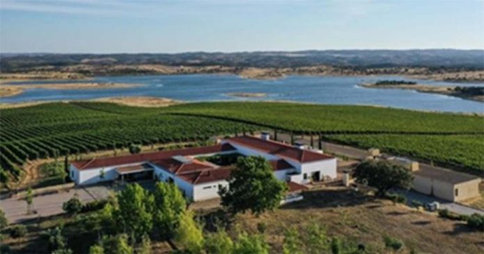 Vista aérea de vinhas e do Lago Alqueva, ilustrando a paisagem ideal para quem procura visitar o Alentejo.