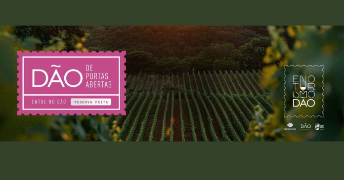 Vinhas do Dão associadas ao evento Dão de Portas Abertas