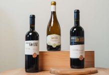 São Luiz apresenta três novas colheitas com diferentes expressões do Douro Três novas colheitas da São Luiz com Vinha Rumilã, Folgazão & Rabigato e Vinhas Velhas