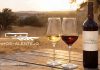 Vinhos alentejanos ligam compras a experiências no Alentejo Vinhos alentejanos com garrafa e copos de vinho numa paisagem do Alentejo