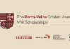 Bolsas Barca-Velha levam duas profissionais mais perto do título de Master of Wine Identidade gráfica das Bolsas Barca-Velha Golden Vines MW 2026 com os logótipos das entidades parceiras.