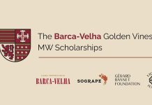 Bolsas Barca-Velha levam duas profissionais mais perto do título de Master of Wine Identidade gráfica das Bolsas Barca-Velha Golden Vines MW 2026 com os logótipos das entidades parceiras.