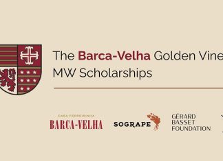 Bolsas Barca-Velha levam duas profissionais mais perto do título de Master of Wine Identidade gráfica das Bolsas Barca-Velha Golden Vines MW 2026 com os logótipos das entidades parceiras.