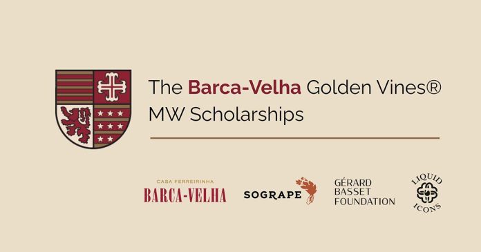 Identidade gráfica das Bolsas Barca-Velha Golden Vines MW 2026 com os logótipos das entidades parceiras.