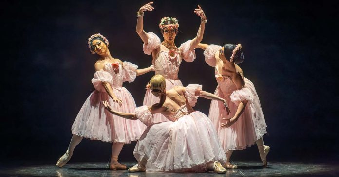 Quatro bailarinos dos Les Ballets Trockadero em palco, com vestidos cor-de-rosa, durante uma interpretação de Pas de Quatre