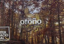 Outono Mágico no Vale do Ambroz regressa com 70 atividades entre natureza e tradição Outono Mágico no Vale do Ambroz, com identidade gráfica do evento sobre uma floresta de tons outonais na Extremadura espanhola