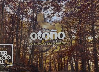 Outono Mágico no Vale do Ambroz regressa com 70 atividades entre natureza e tradição Outono Mágico no Vale do Ambroz, com identidade gráfica do evento sobre uma floresta de tons outonais na Extremadura espanhola