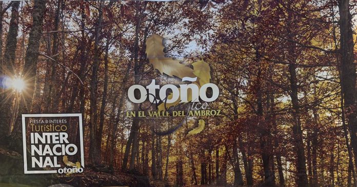 Outono Mágico no Vale do Ambroz, com identidade gráfica do evento sobre uma floresta de tons outonais na Extremadura espanhola